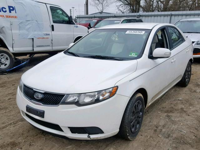 KNAFU4A2XA5131539 - 2010 KIA FORTE EX WHITE photo 2