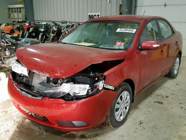 KNAFU4A29A5100802 - 2010 KIA FORTE EX RED photo 2