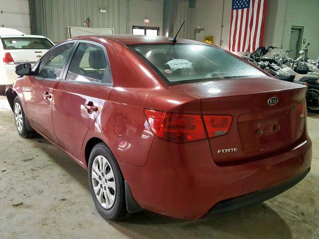 KNAFU4A29A5100802 - 2010 KIA FORTE EX RED photo 3