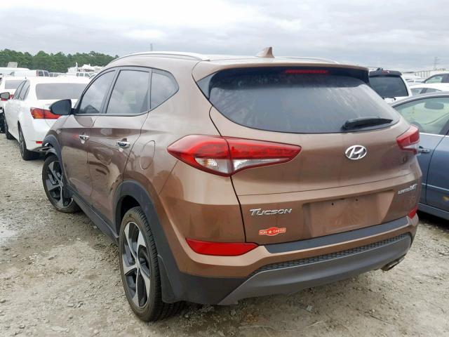 KM8J33A25GU155557 - 2016 HYUNDAI TUCSON LIM BROWN photo 3