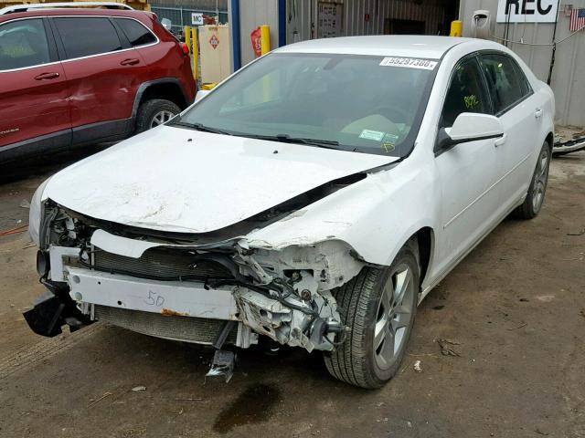 1G1ZC5EB0AF166385 - 2010 CHEVROLET MALIBU 1LT თეთრი ფოტო 2