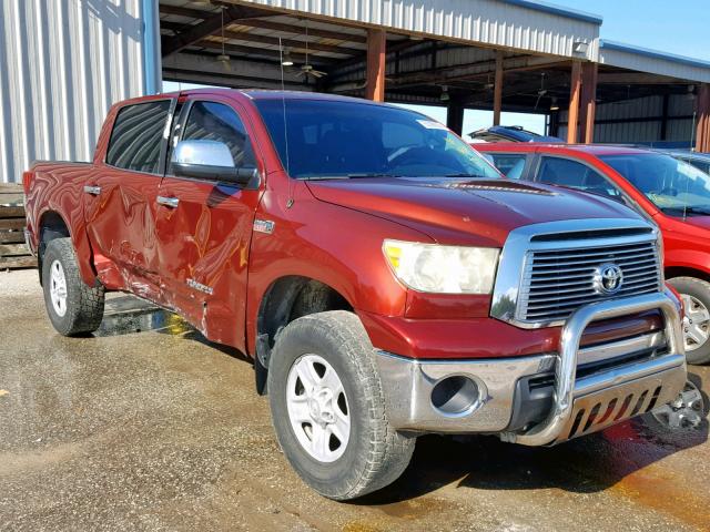 5TFEY5F1XAX084865 - 2010 TOYOTA TUNDRA CRE BURGUNDY photo 1