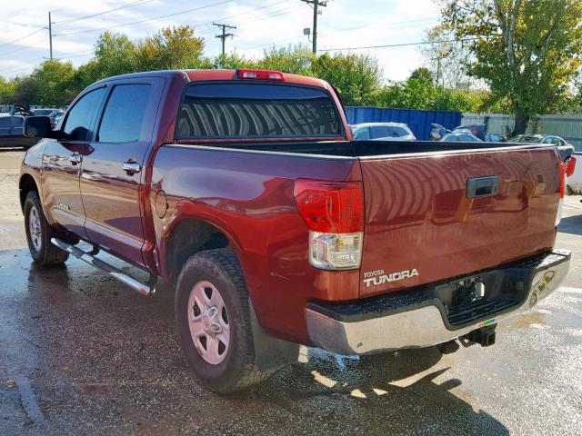 5TFEY5F1XAX084865 - 2010 TOYOTA TUNDRA CRE BURGUNDY photo 3