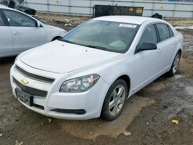 1G1ZA5E00AF116025 - 2010 CHEVROLET MALIBU LS 白色 照片 2