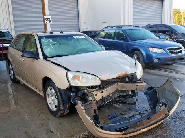 1G1ZU64854F189223 - 2004 CHEVROLET MALIBU MAX ოქროსფერი ფოტო 1