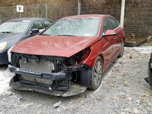 5NPE34AF1FH045726 - 2015 HYUNDAI SONATA SPO RED photo 2