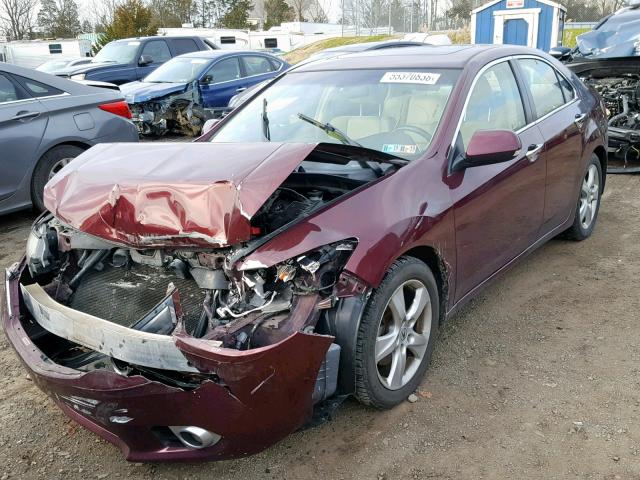 JH4CU2F65CC021176 - 2012 ACURA TSX TECH BURGUNDY photo 2