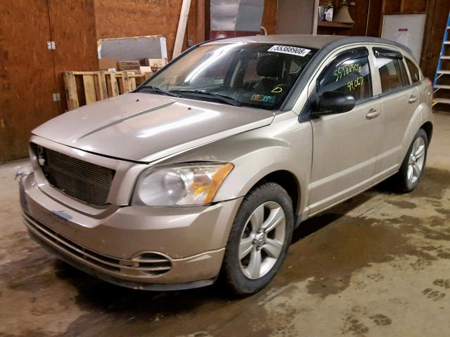 1B3CB4HA4AD534755 - 2010 DODGE CALIBER SX GOLD photo 2