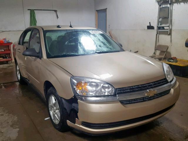 1G1ZT54865F288860 - 2005 CHEVROLET MALIBU LS Ոսկեգույն լուսանկար 1