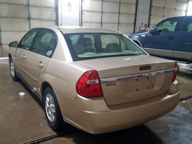 1G1ZT54865F288860 - 2005 CHEVROLET MALIBU LS Ոսկեգույն լուսանկար 3