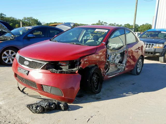 KNAFU4A29D5724801 - 2013 KIA FORTE EX RED photo 2