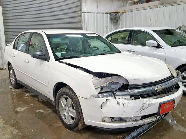 1G1ZT52885F309131 - 2005 CHEVROLET MALIBU LS 白色 照片 1