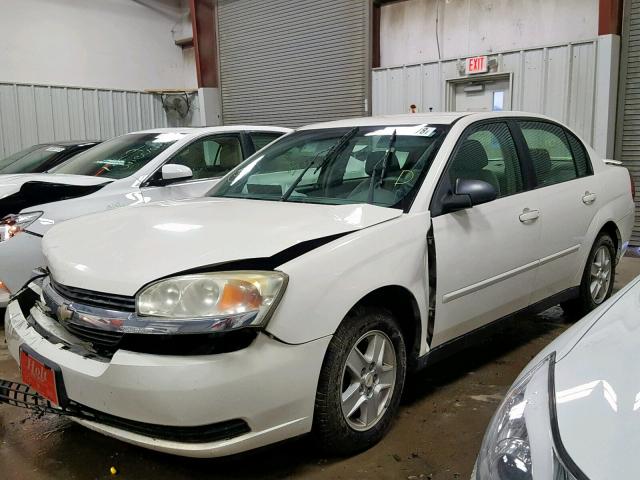 1G1ZT52885F309131 - 2005 CHEVROLET MALIBU LS 白色 照片 2