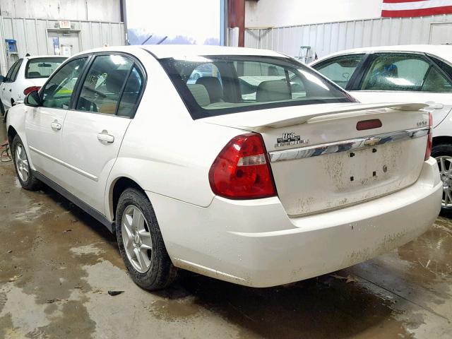 1G1ZT52885F309131 - 2005 CHEVROLET MALIBU LS 白色 照片 3