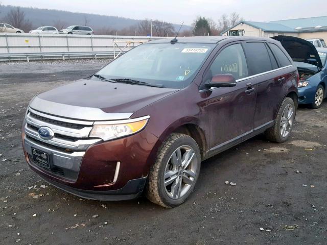 2FMDK4KCXCBA78276 - 2012 FORD EDGE LIMIT BURGUNDY photo 2