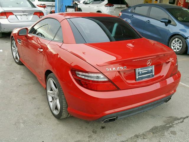 WDDPK4HA5DF060720 - 2013 MERCEDES-BENZ SLK 250 RED photo 3