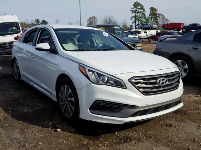 5NPE34AF2FH103584 - 2015 HYUNDAI SONATA SPO WHITE photo 1