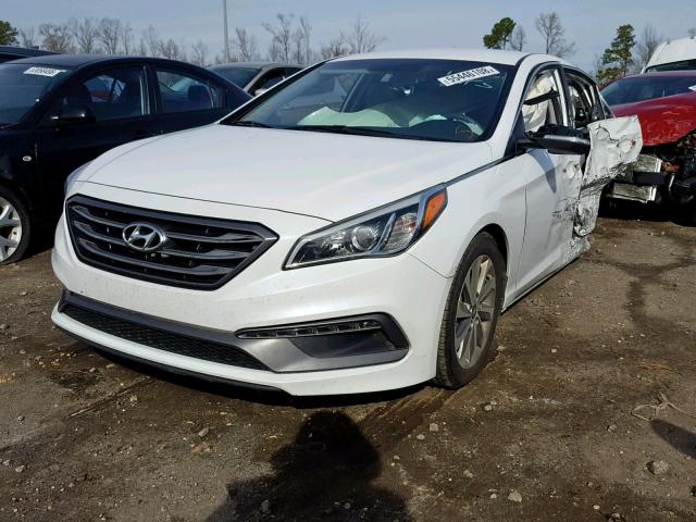 5NPE34AF2FH103584 - 2015 HYUNDAI SONATA SPO WHITE photo 2