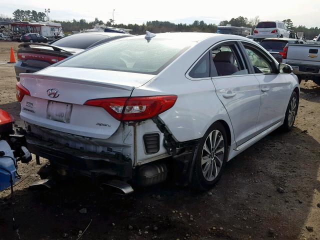 5NPE34AF2FH103584 - 2015 HYUNDAI SONATA SPO WHITE photo 4