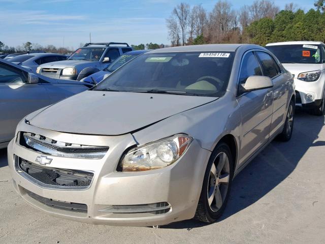1G1ZC5E17BF207538 - 2011 CHEVROLET MALIBU 1LT GOLD photo 2