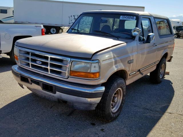 1FMEU15H8TLB95763 - 1996 FORD BRONCO U10 GOLD photo 2