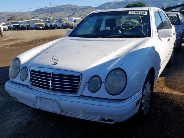 WDBJF65F6WA557662 - 1998 MERCEDES-BENZ E 320 WHITE photo 2