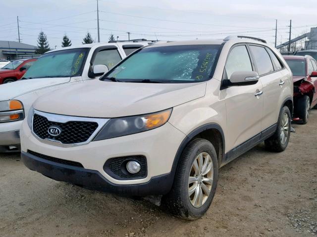 5XYKT4A21BG065640 - 2011 KIA SORENTO BA CREAM photo 2