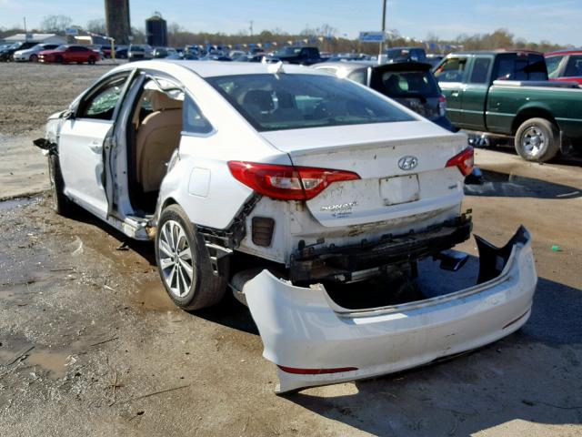 5NPE34AF7FH160914 - 2015 HYUNDAI SONATA SPO WHITE photo 3