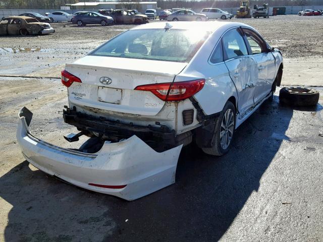 5NPE34AF7FH160914 - 2015 HYUNDAI SONATA SPO WHITE photo 4