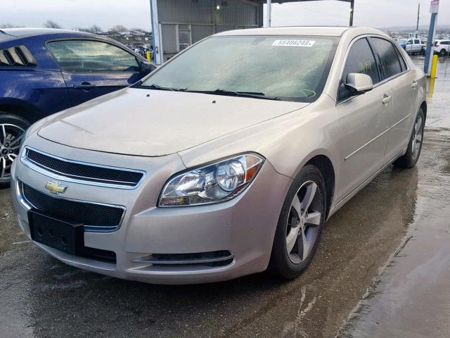 1G1ZC5E1XBF199452 - 2011 CHEVROLET MALIBU 1LT 米色 照片 2