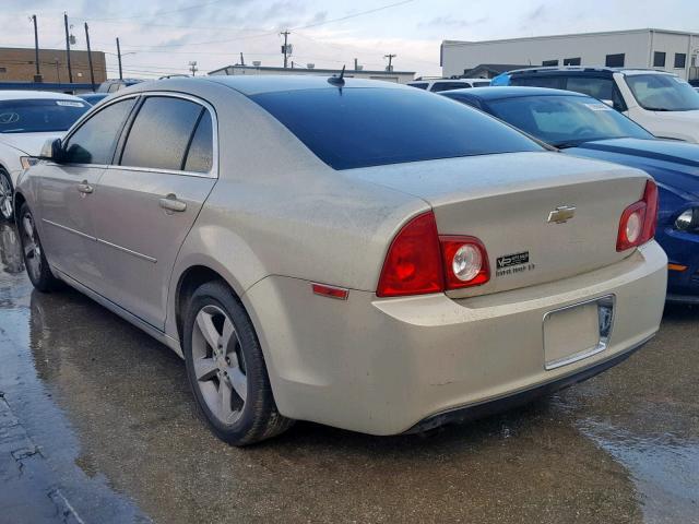 1G1ZC5E1XBF199452 - 2011 CHEVROLET MALIBU 1LT 米色 照片 3