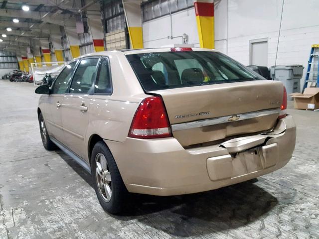 1G1ZT62805F302485 - 2005 CHEVROLET MALIBU MAX ოქროსფერი ფოტო 3