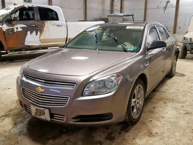 1G1ZB5E12BF164245 - 2011 CHEVROLET MALIBU LS თაფლისფერი ფოტო 2