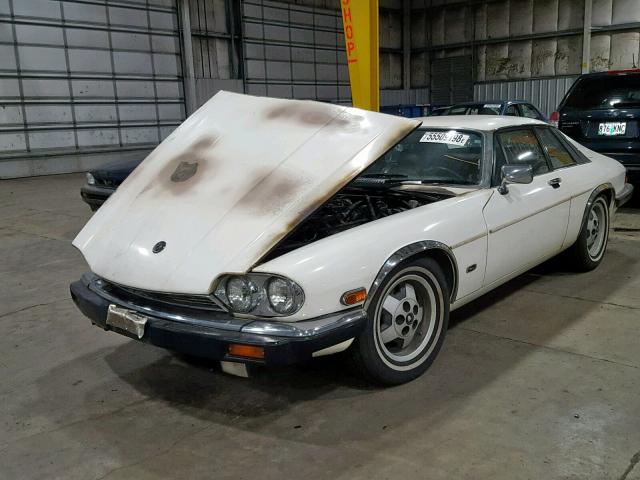 SAJNV5849EC113304 - 1984 JAGUAR XJS WHITE photo 2