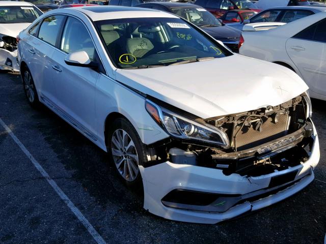 5NPE34AF4GH392162 - 2016 HYUNDAI SONATA SPO WHITE photo 1