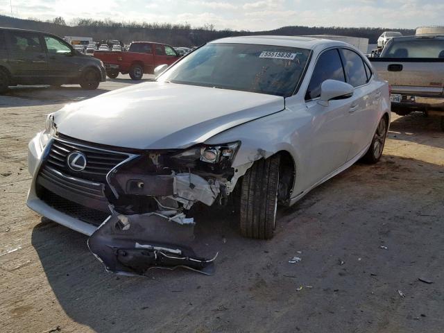 JTHBF1D20E5005135 - 2014 LEXUS IS 250 WHITE photo 2