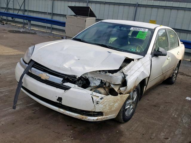1G1ZT52885F257421 - 2005 CHEVROLET MALIBU LS Ağ foto 2