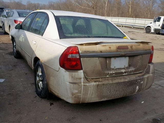 1G1ZT52885F257421 - 2005 CHEVROLET MALIBU LS Ağ foto 3