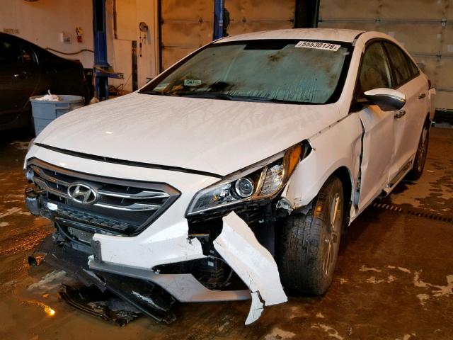 5NPE34AF8FH076570 - 2015 HYUNDAI SONATA SPO WHITE photo 2