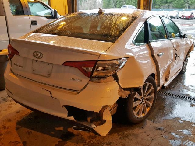 5NPE34AF8FH076570 - 2015 HYUNDAI SONATA SPO WHITE photo 4