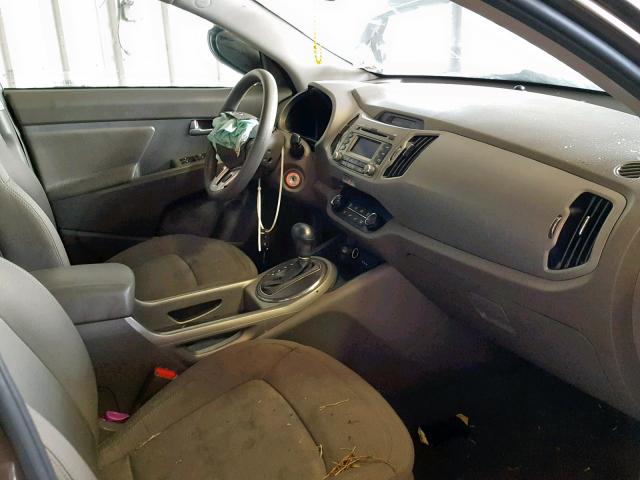 KNDPB3A24D7464464 - 2013 KIA SPORTAGE B BROWN photo 5