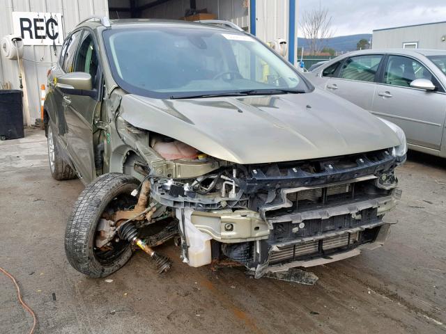 1FMCU9J92DUA26449 - 2013 FORD ESCAPE TIT GREEN photo 1