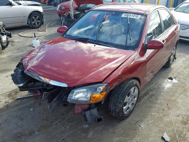 KNAFE221995606150 - 2009 KIA SPECTRA EX RED photo 2