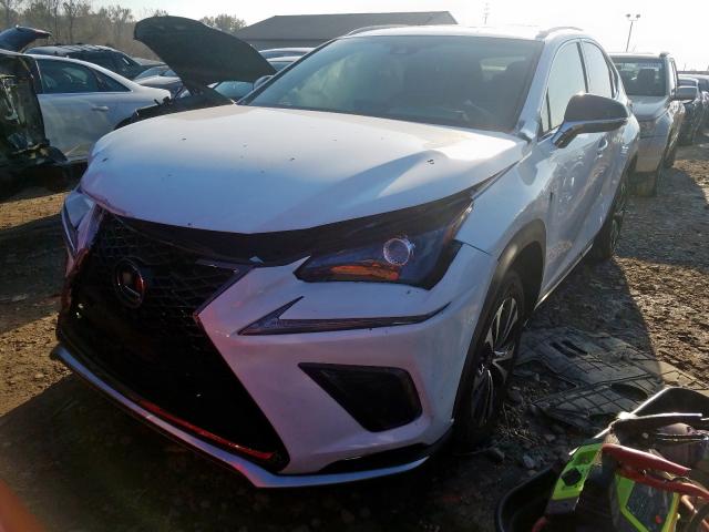 JTJBARBZ8J2156120 - 2018 LEXUS NX 300 BASE  photo 2