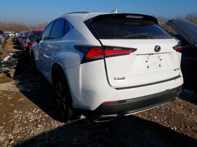 JTJBARBZ8J2156120 - 2018 LEXUS NX 300 BASE  photo 3