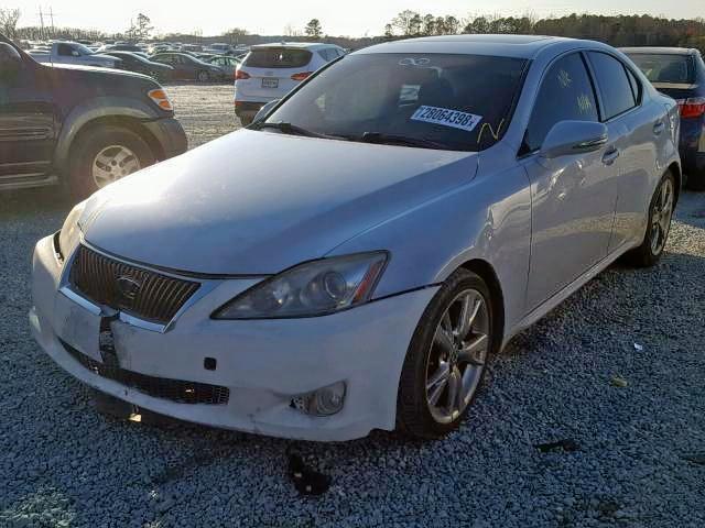 JTHBF5C20A5129036 - 2010 LEXUS IS 250 WHITE photo 2