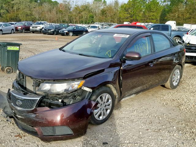 KNAFU4A2XB5445998 - 2011 KIA FORTE EX MAROON photo 2