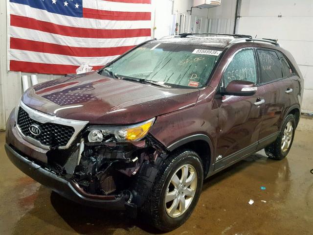 5XYKTDA68CG271705 - 2012 KIA SORENTO BA MAROON photo 2