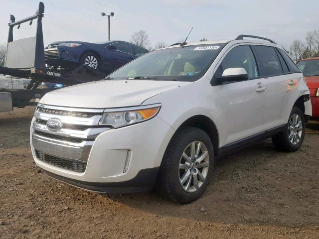 2FMDK4JC0EBB80772 - 2014 FORD EDGE SEL WHITE photo 2