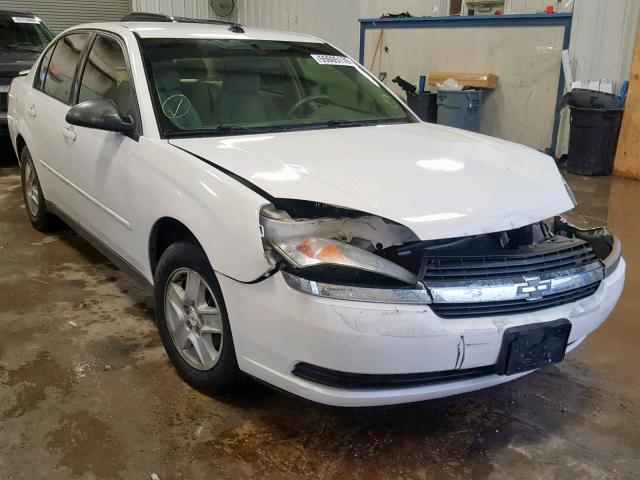 1G1ZT54815F289415 - 2005 CHEVROLET MALIBU LS Ақ фото 1